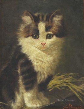  Gato Arte - un bebe gato
